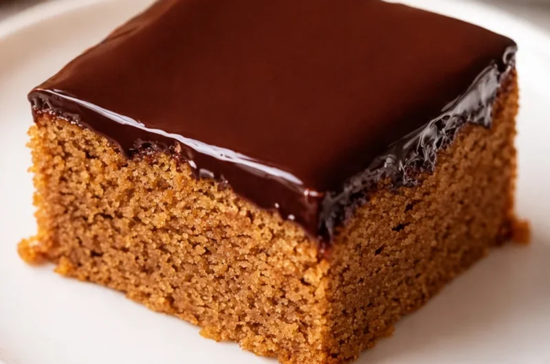 Traditional German Honey Cake (Honigkuchen) topped with chocolate glaze and apricot jam.